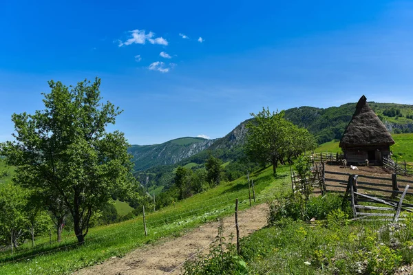 Зеленый сельский пейзаж в горах — стоковое фото