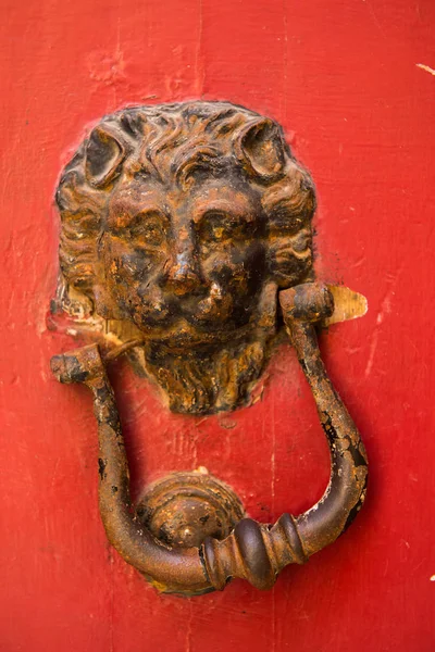 Львиная голова стучит в красную дверь — стоковое фото
