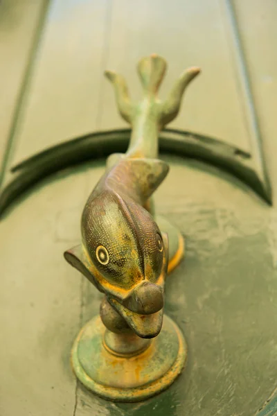 Fish shaped knocker on a green wooden door. — Stock Photo, Image