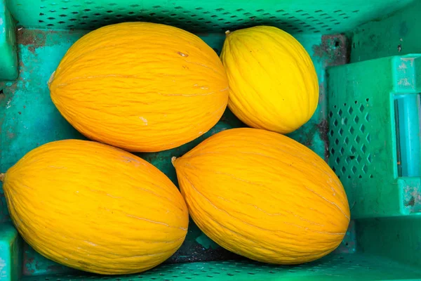 바구니에 노란 멜론 — 스톡 사진