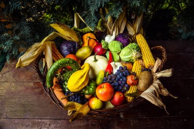 Organik biyo meyve ve sebze sepeti
