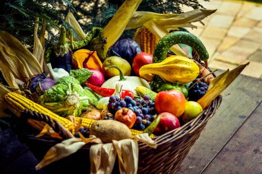 Organik gıda sebze sepeti