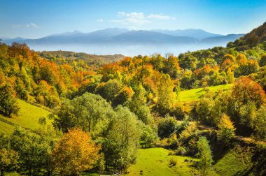 Peri sonbahar yatay, renkli orman