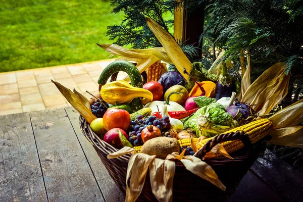 Organik gıda arka plan. Sonbahar konsepti