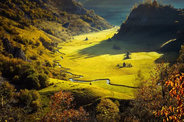 Paisaje de otoño de hadas con bosque colorido — Foto de Stock