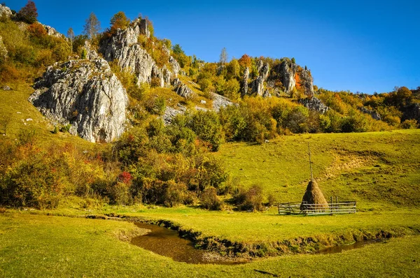 Höstlandskap med färgglada skog — Stockfoto