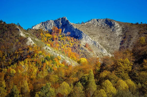 Jesień las krajobraz w górach — Zdjęcie stockowe