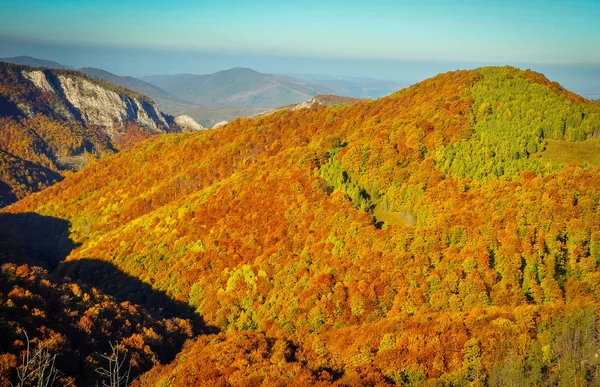 Paisagem florestal de outono nas montanhas — Fotografia de Stock