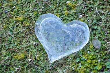 Kalp buz, kavram seviyorum