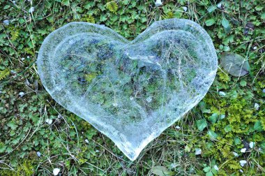 Kalp buz, kavram seviyorum