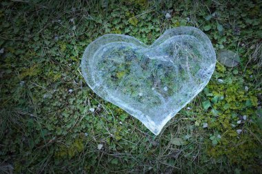 Kalp buz, kavram seviyorum