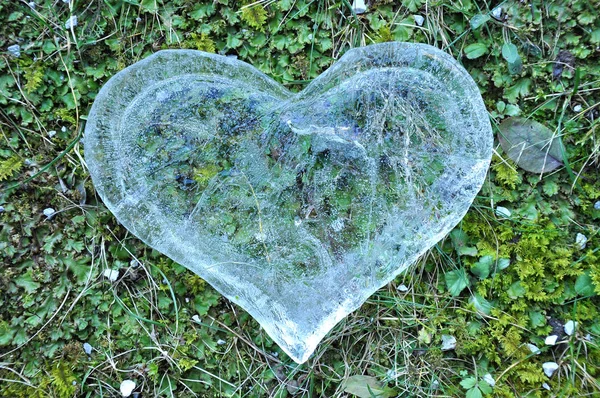 Kalp buz, kavram seviyorum