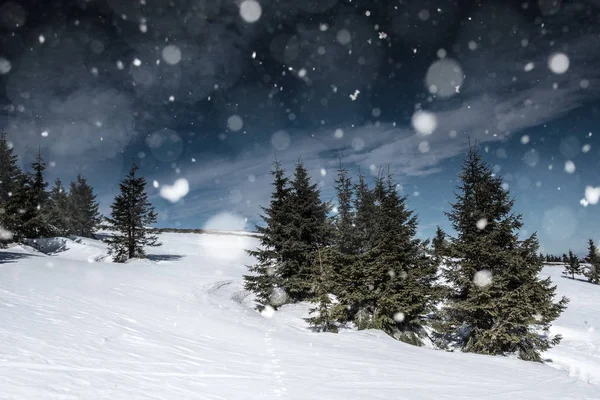 Kerst achtergrond met besneeuwd landschap — Stockfoto