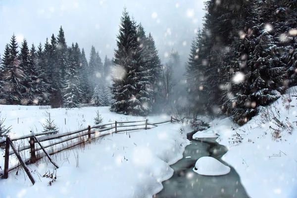 Árboles cubiertos de nieve y arroyo de agua — Foto de Stock