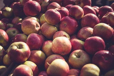 İtibariyle yerel çiftçilere piyasa taze elma