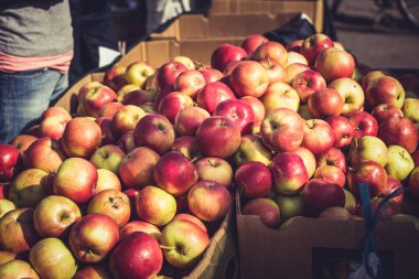 İtibariyle yerel çiftçilere piyasa taze elma