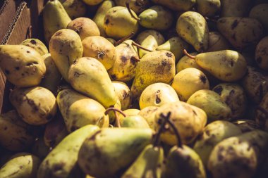 İçinde belgili tanımlık çarşı organik sarı armut