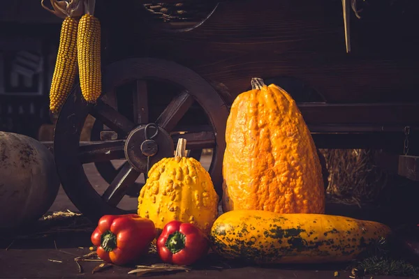 ビンテージ カートいっぱい採れたての野菜。スティル ・ ライフ — ストック写真