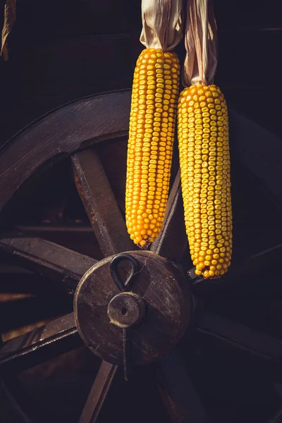 Wiszące kukurydzy na koła vintage koszyk — Zdjęcie stockowe