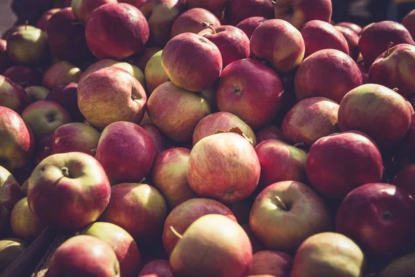 A helyi mezőgazdasági termelők piacra a friss Alma — Stock Fotó