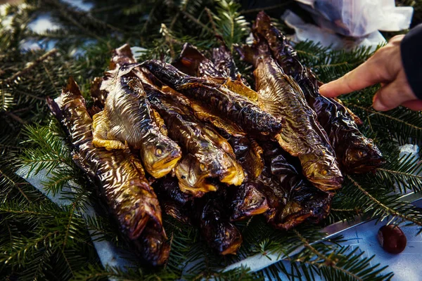 Smoked trouts on pine branch — Stock Photo, Image
