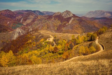Renkli ormanlı dağ sonbahar manzarası