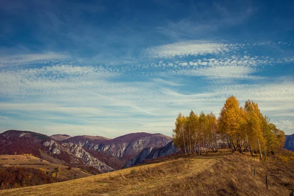 Mountain autumn landscape with colorful forest — Stock Photo, Image