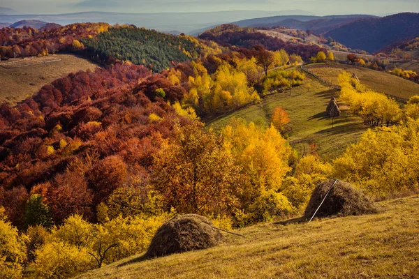 Horská podzimní krajina s barevným lesem — Stock fotografie