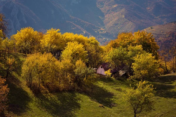 Montagna paesaggio autunnale con foresta colorata — Foto Stock