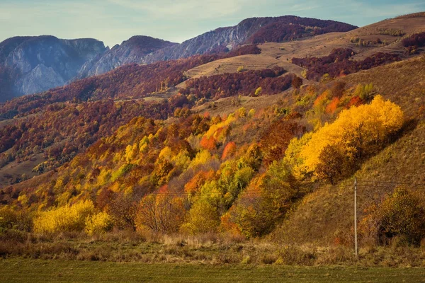 Paisaje de otoño de montaña con bosque colorido — Foto de Stock