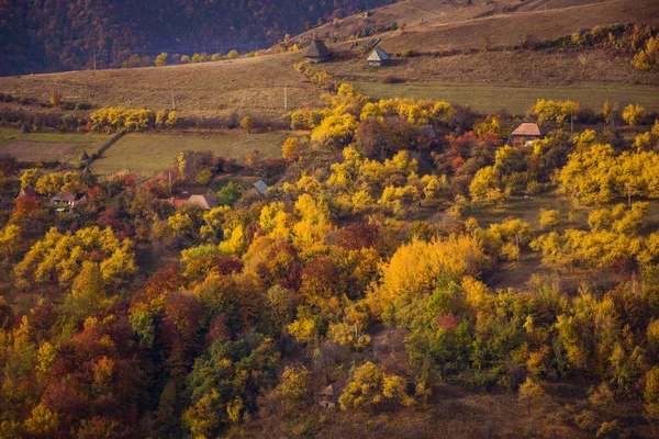 Renkli ormanlı dağ sonbahar manzarası — Stok fotoğraf