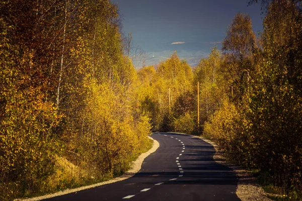 Höstens skogsväg — Stockfoto