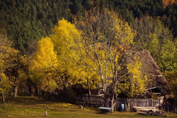 Piccola casa in legno con tetto di paglia — Foto Stock