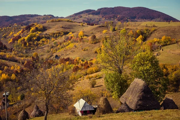 Klein houten huis met rieten dak — Stockfoto