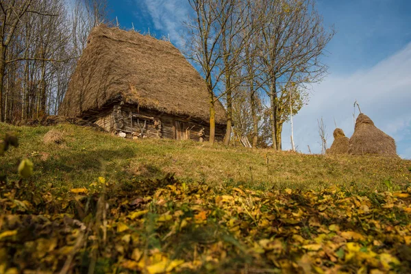 Pequena casa de madeira com telhado de palha — Fotografia de Stock