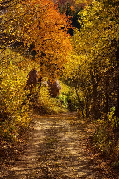 Paesaggio rurale autunnale con strada sterrata — Foto Stock