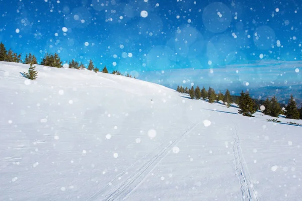 Vinterlandskap med granar, snöflingor — Stockfoto