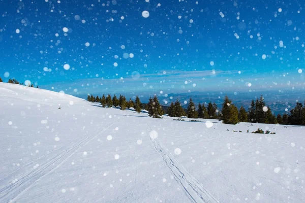 Зимний пейзаж с елками, снежинками — стоковое фото