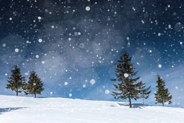 Зимний пейзаж с елками, снежинками — стоковое фото