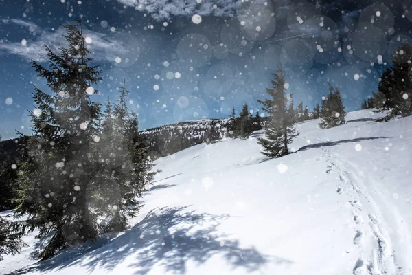 Winterlandschap met sparren, sneeuwvlokken — Stockfoto