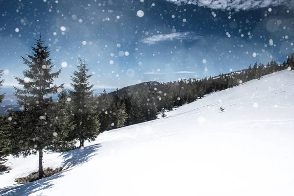 Winterlandschap met sparren, sneeuwvlokken — Stockfoto