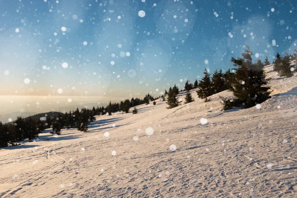 Paisaje invernal con abetos, copos de nieve — Foto de Stock