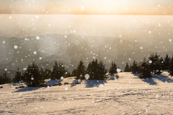 Winterlandschap met sparren, sneeuwvlokken — Stockfoto