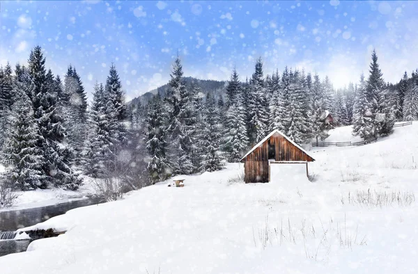 Winter wonderland with fir trees. Christmas greetings — Stock Photo, Image