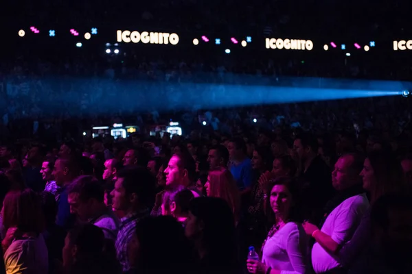 Multitud de gente alegre festejando en un concierto en vivo — Foto de Stock