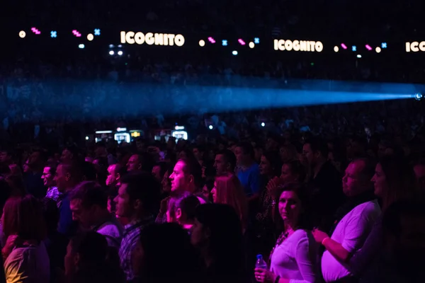 Menge gut gelaunter Menschen feiert bei Live-Konzert — Stockfoto