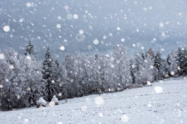 Ağaçlar ve dağlarda kar yağışı ağır kar kaplı