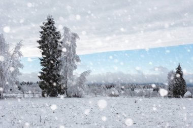 Ağaçlar ve dağlarda kar yağışı ağır kar kaplı