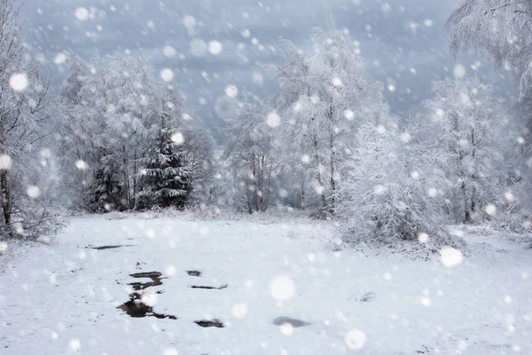 雪が木と重い山は雪に覆われました。 — ストック写真