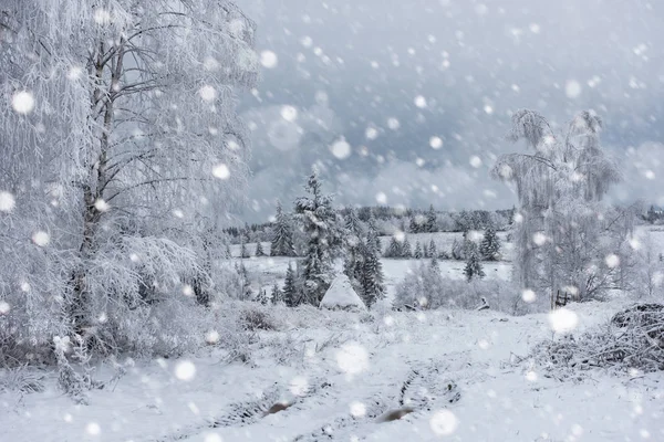 Neve coberto de árvores e nevadas pesadas nas montanhas — Fotografia de Stock